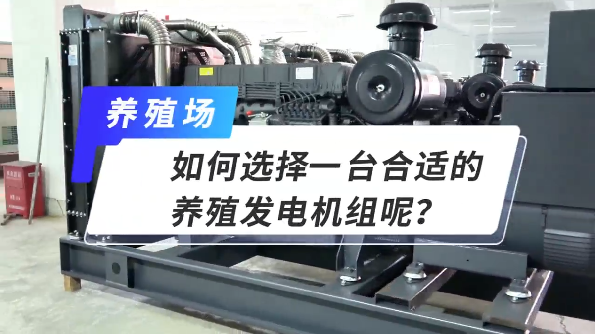 「視頻」如何選擇一臺合適的養(yǎng)殖發(fā)電機組呢？